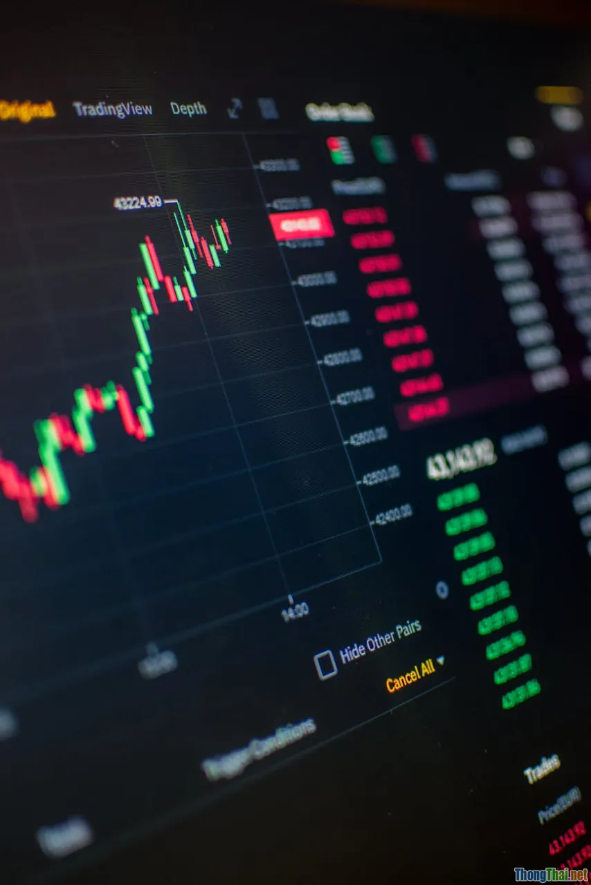 software recruitment, VueJs trend, tech market