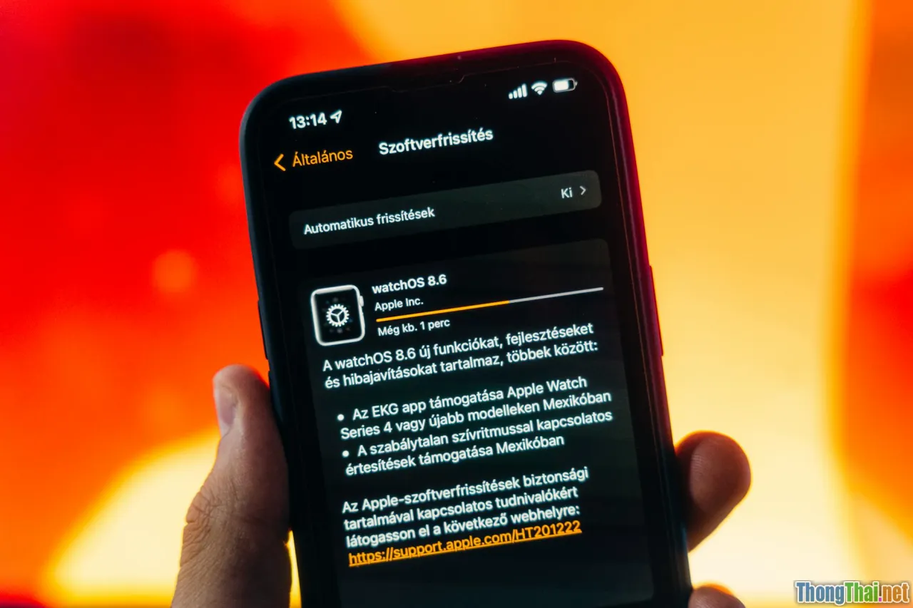 software update, system patch, security update