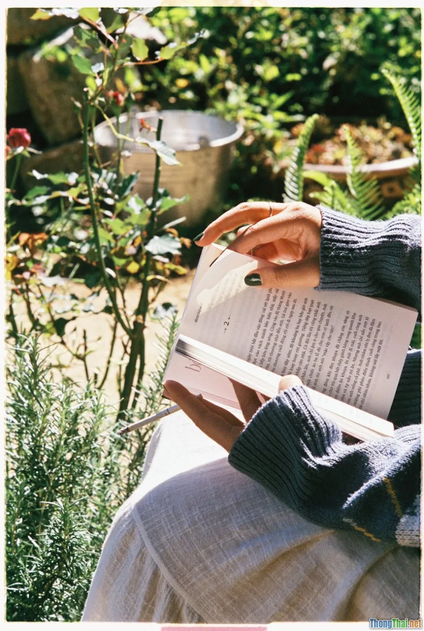 spiritual growth, open Bible, sunlight