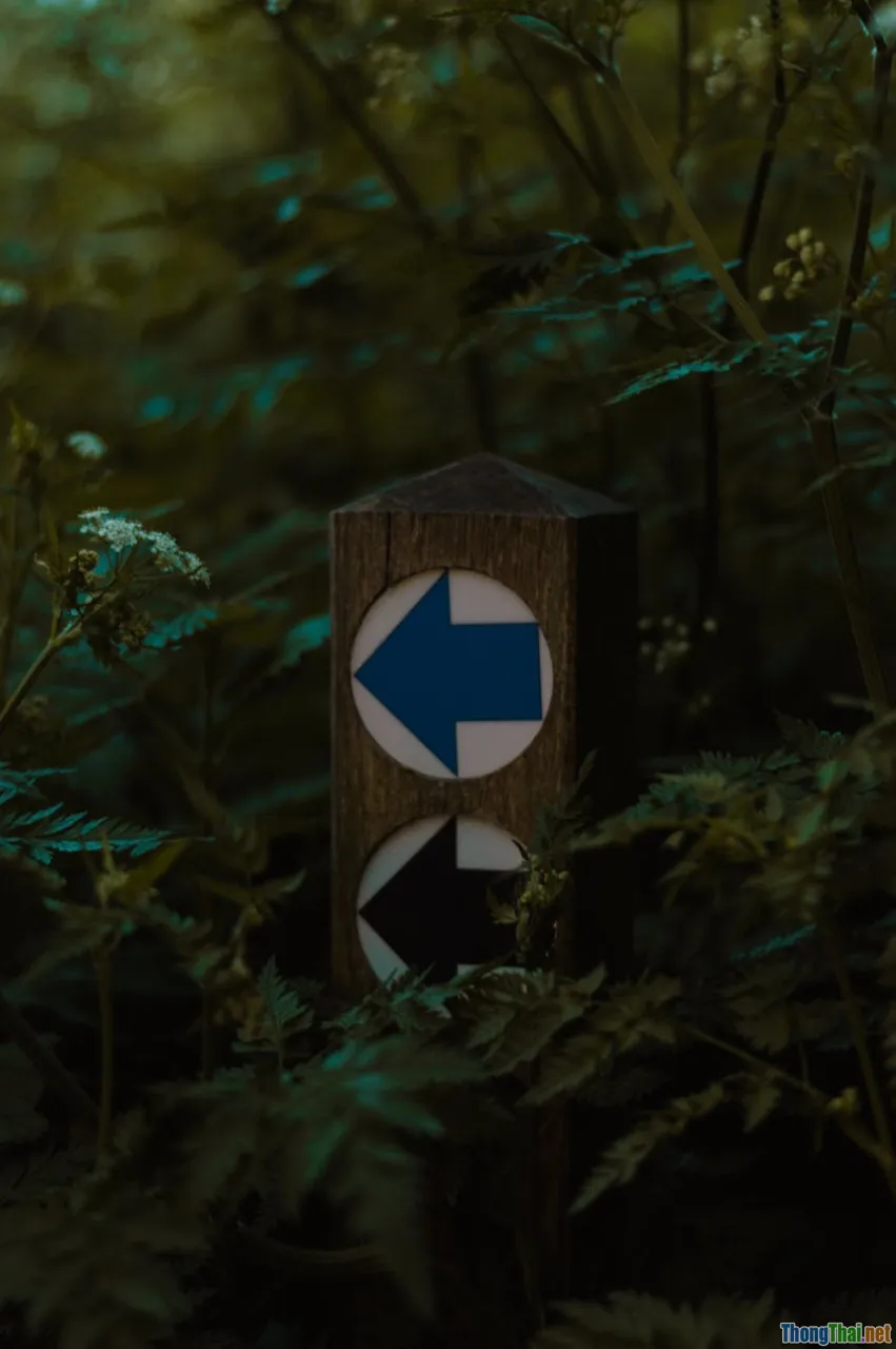 structure, discourse markers, cohesion, arrows