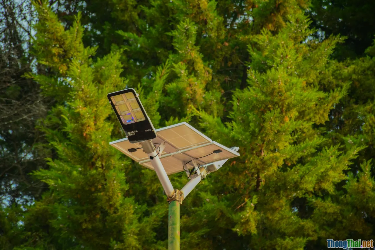 sustainability, LED grow lights, solar panel