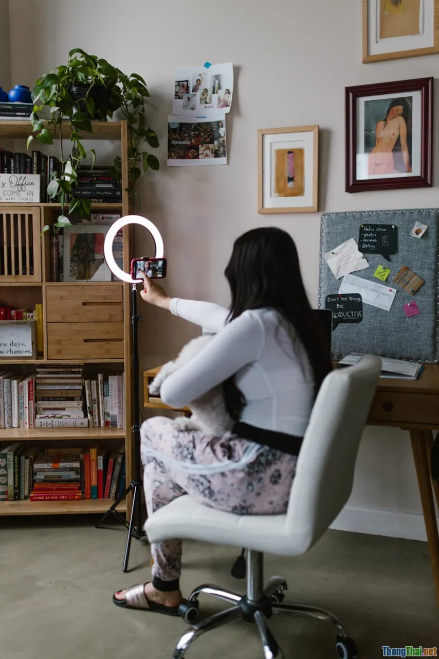 swedish ivy, pet safe plant, shelf decor, office plant