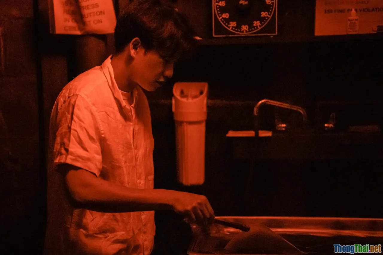 techniques, shadowing, dictation