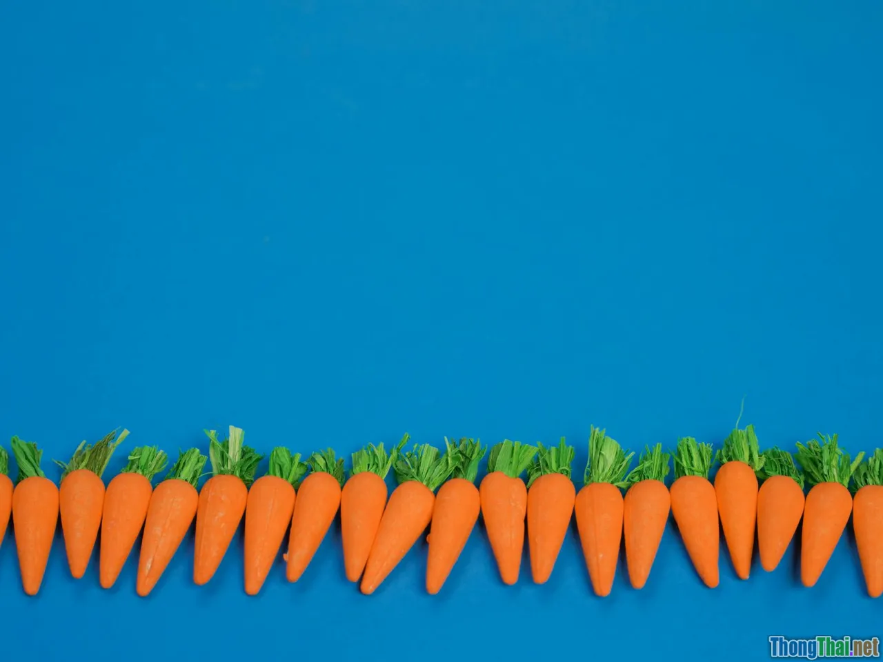 themeforest, template market, trending themes