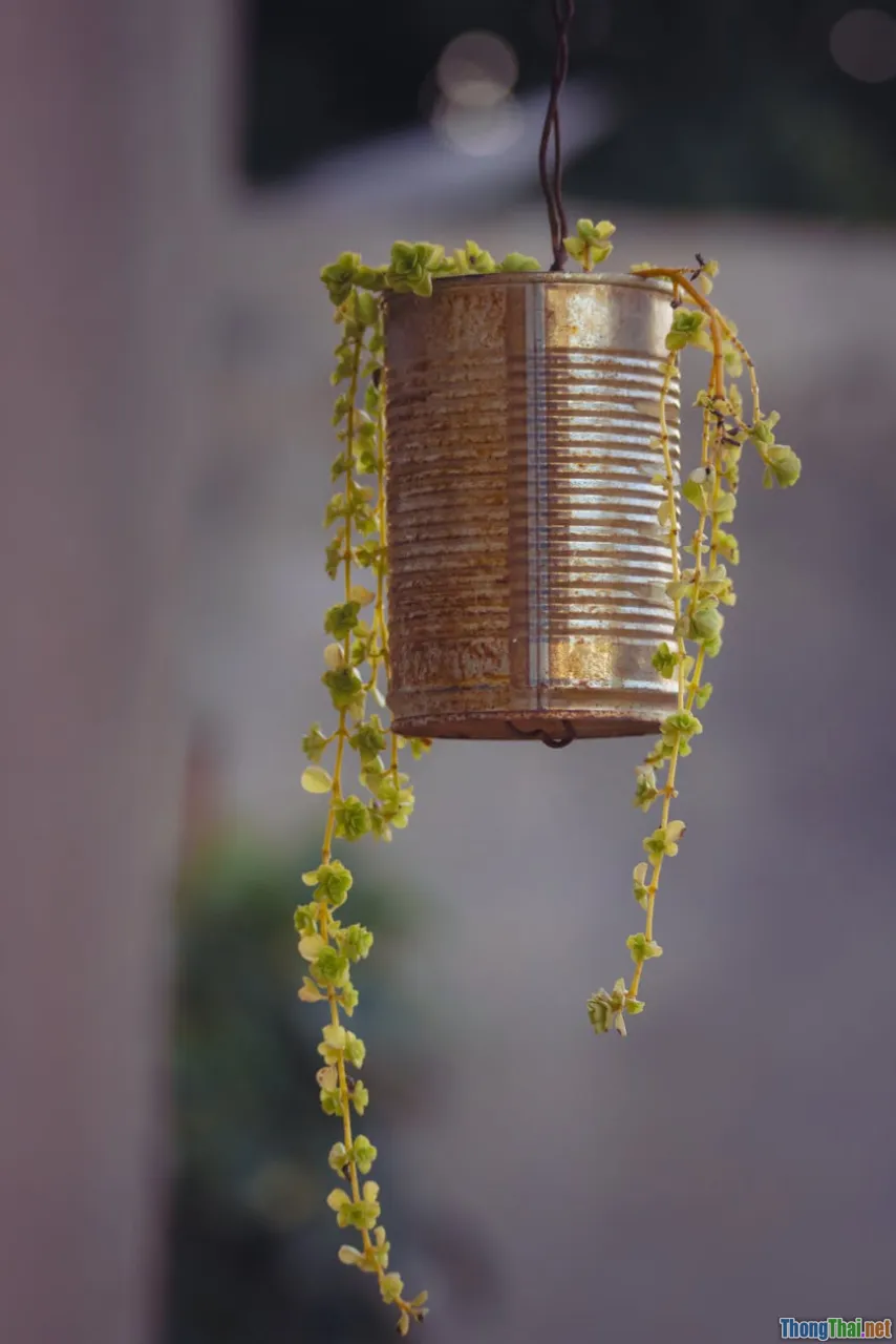 tin can planter, hanging, upcycled