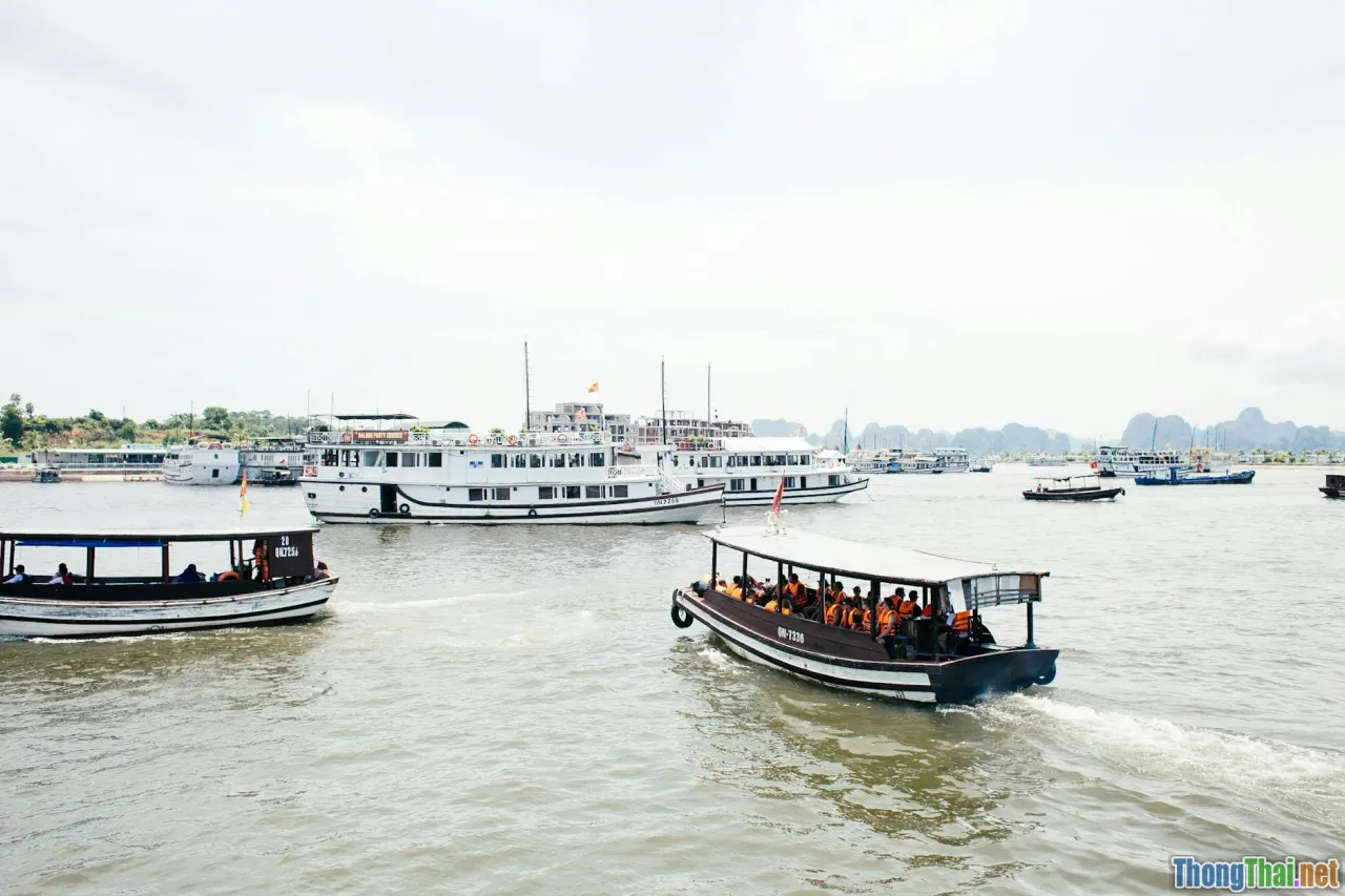 travel tips, vietnam culinary tour, traveler advice