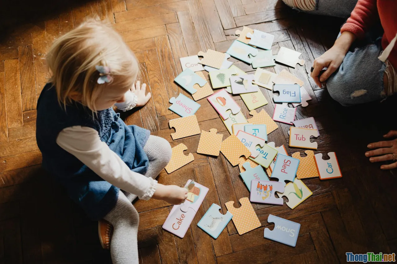 treat puzzle, dog activity, enrichment