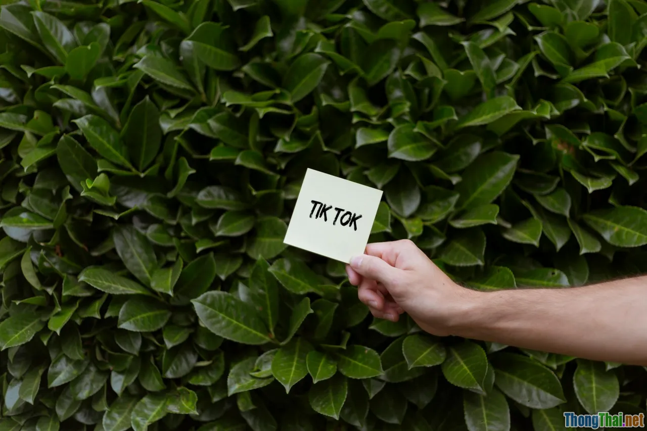 trending topics, viral content, fanpage growth