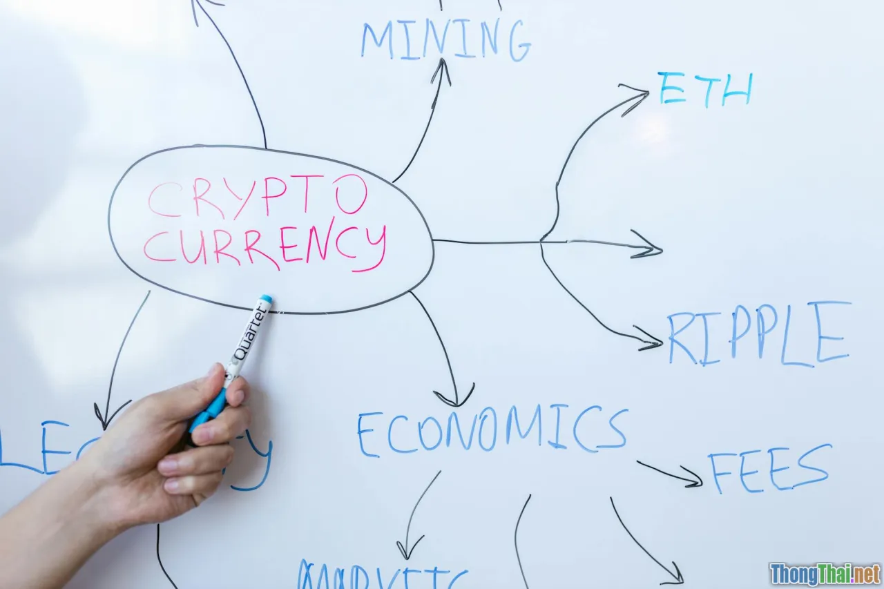 unit economics, margin, fees, shipping