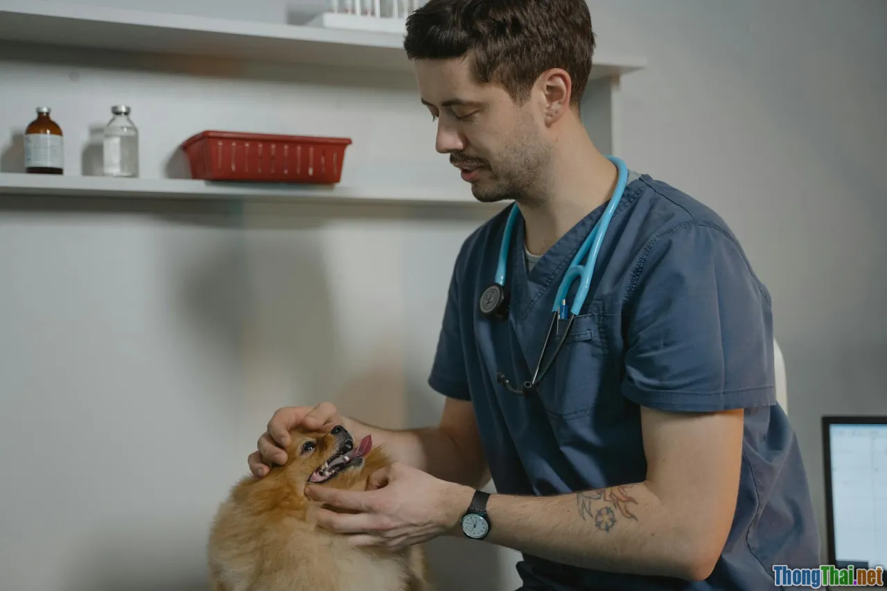 Review top phòng khám thú y uy tín tại Hà Nội