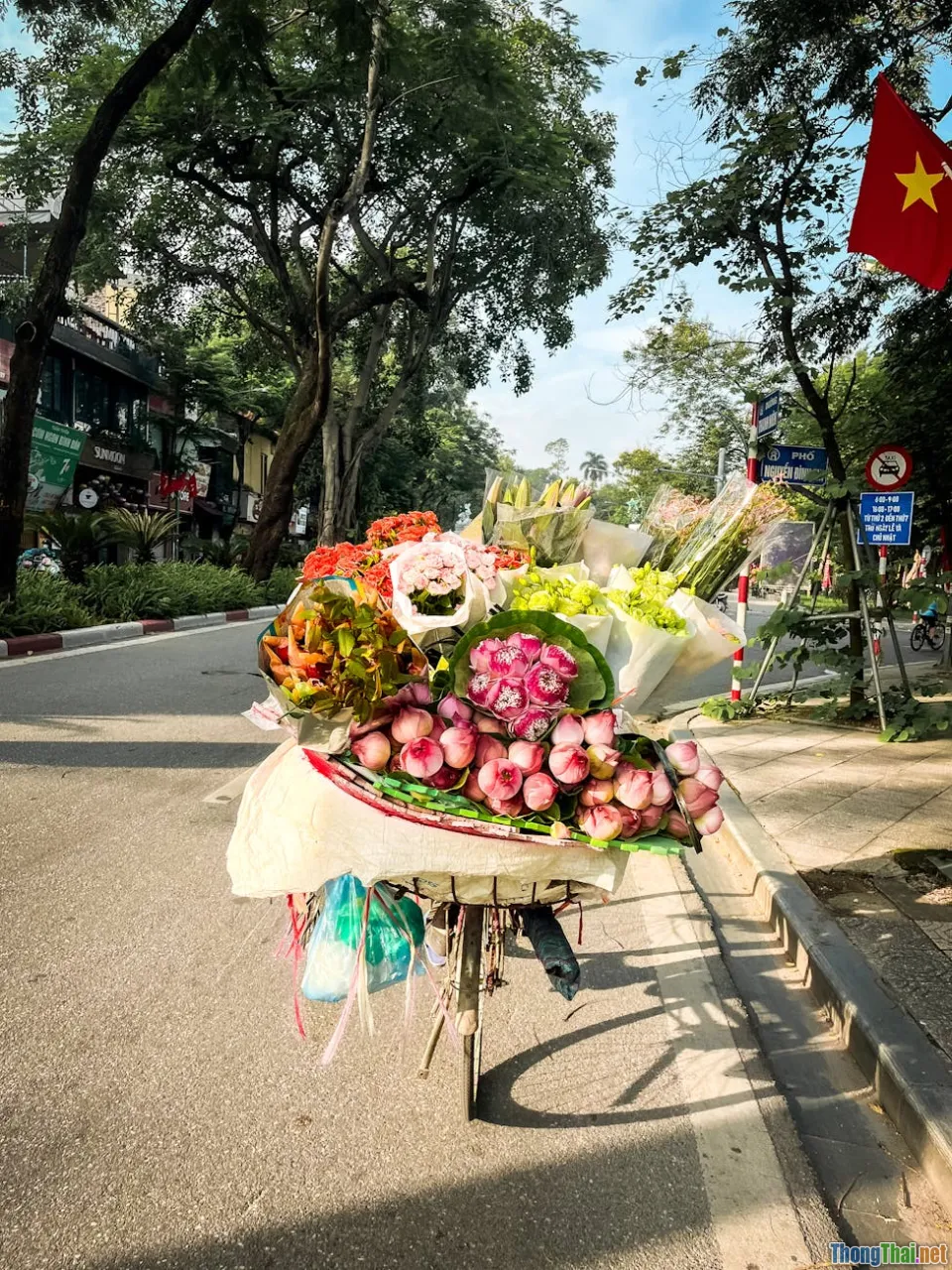 vietnam developer market