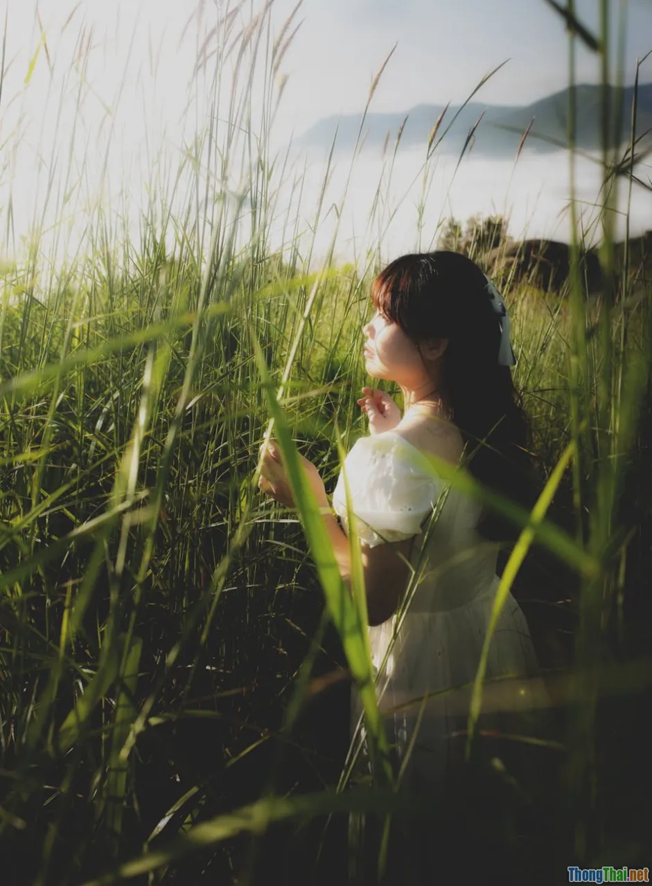 Vietnam, trust, growth