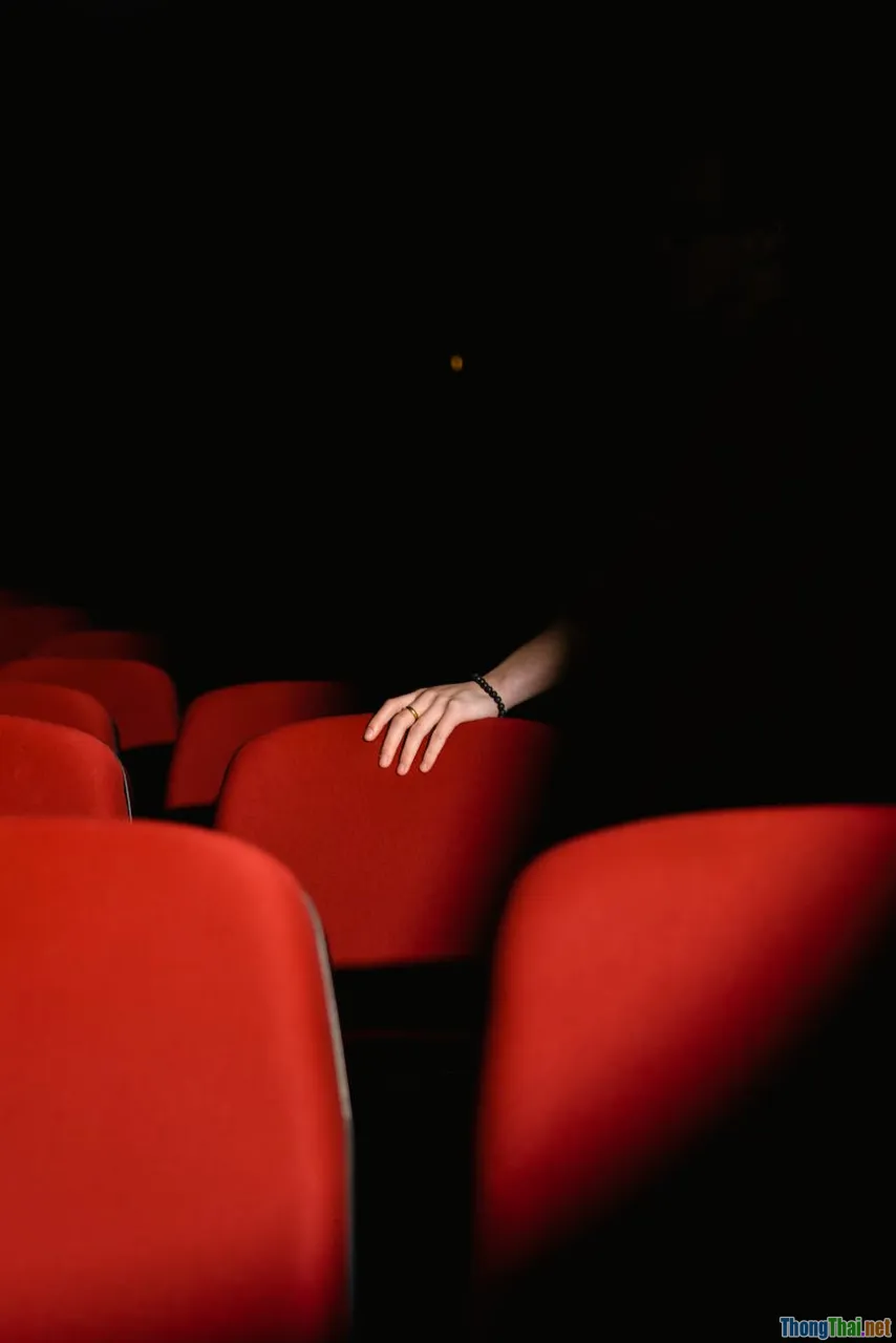 vietnamese audience, cinema, expectation