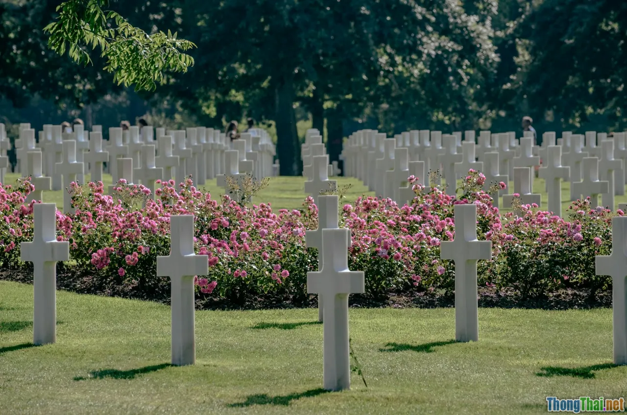 vietnamese soldiers, jungle, brotherhood, war memories