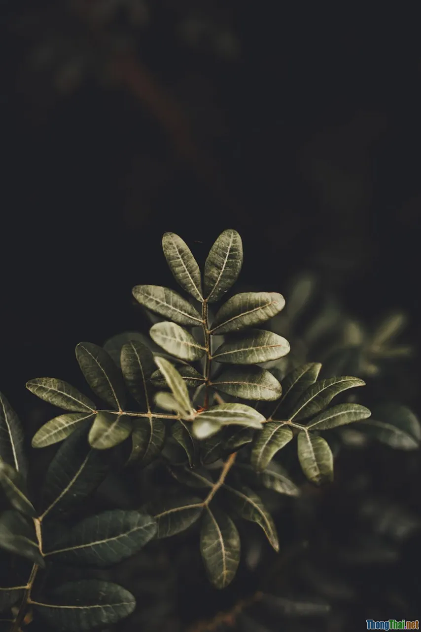 warm white bulbs, color temperature chart