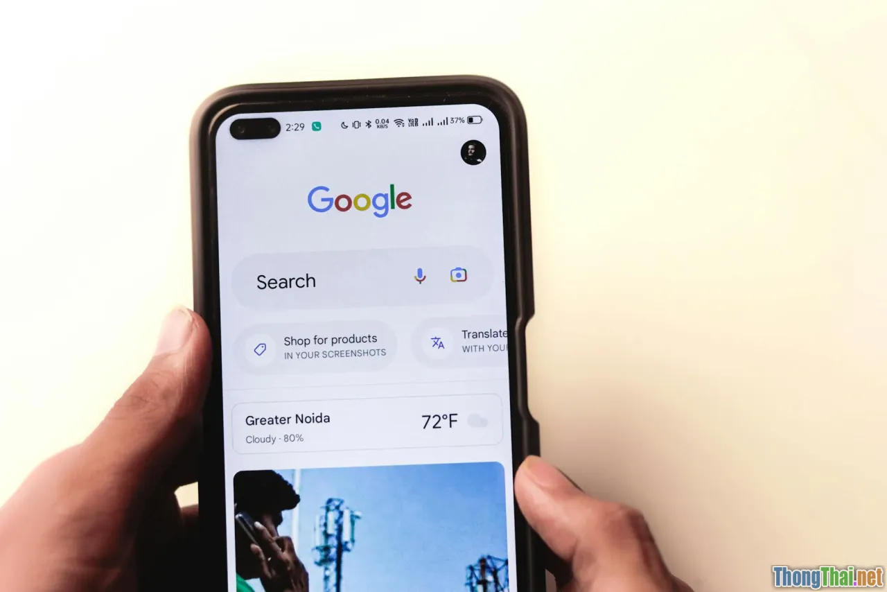 website types, monetization, online advertising
