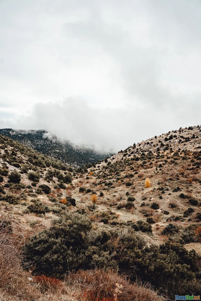 wild forest, river, local beauty, mountain sunrise