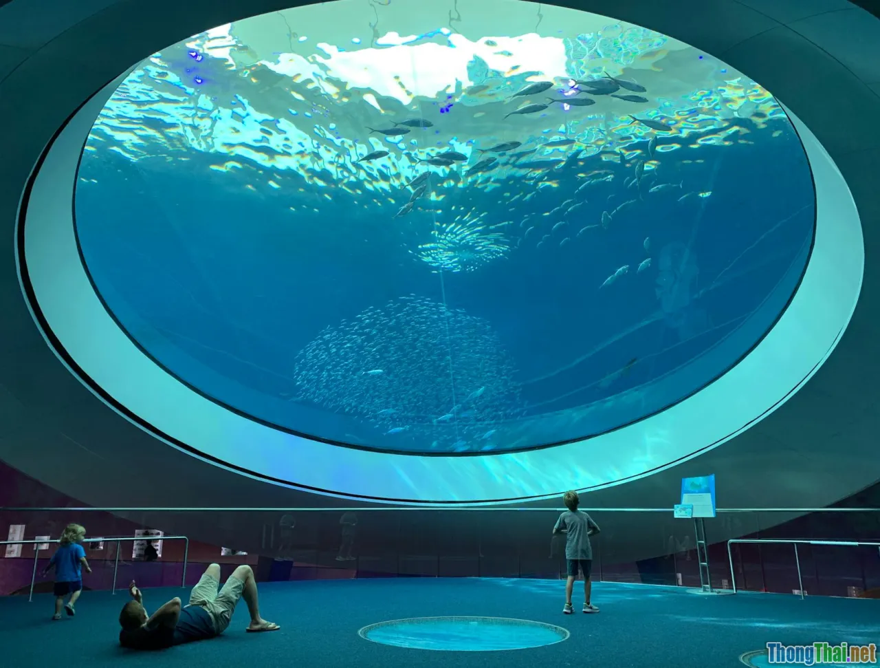 wildlife education, children, conservation classrooms