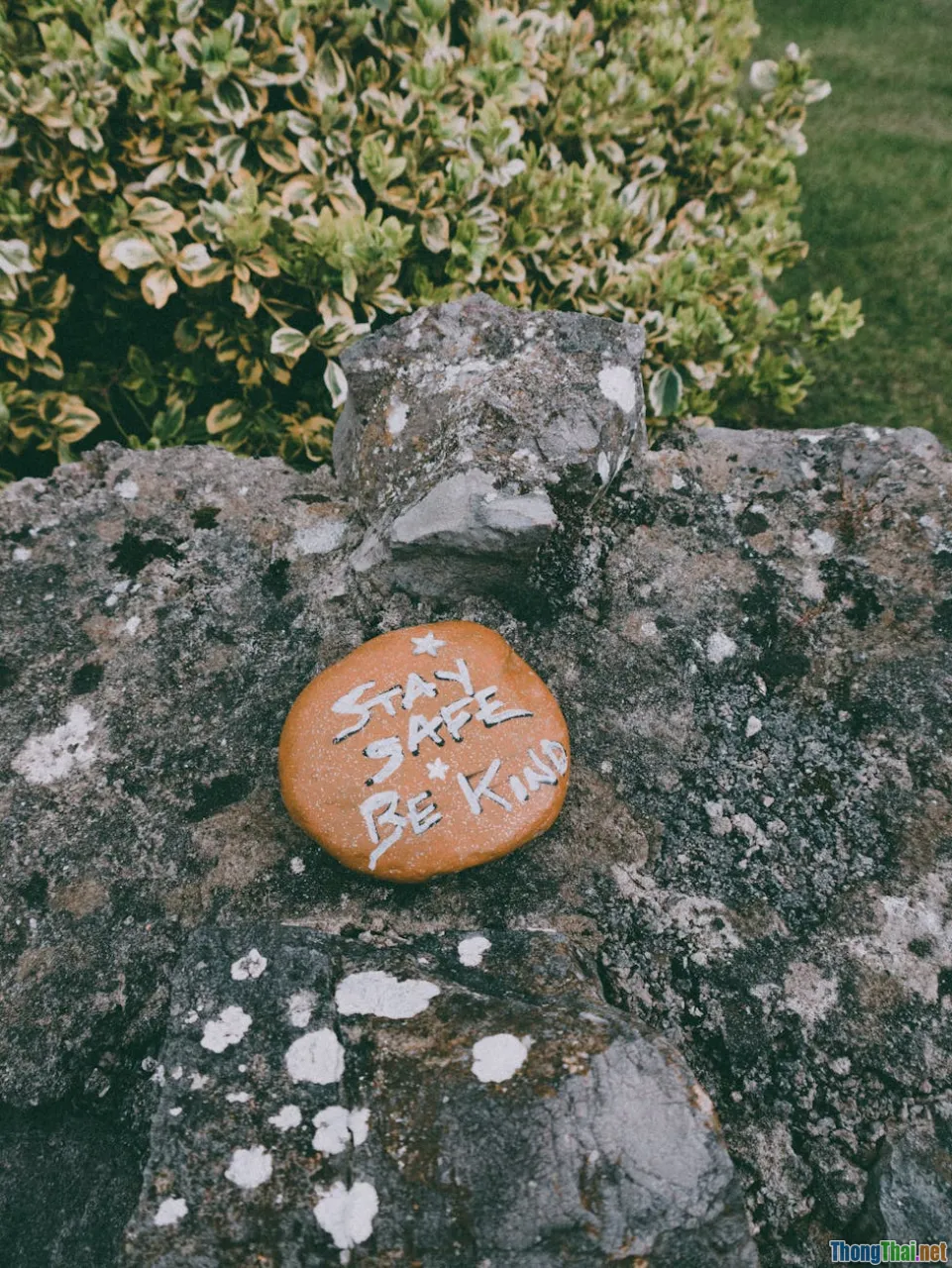 workplace, community, wellness, prevention