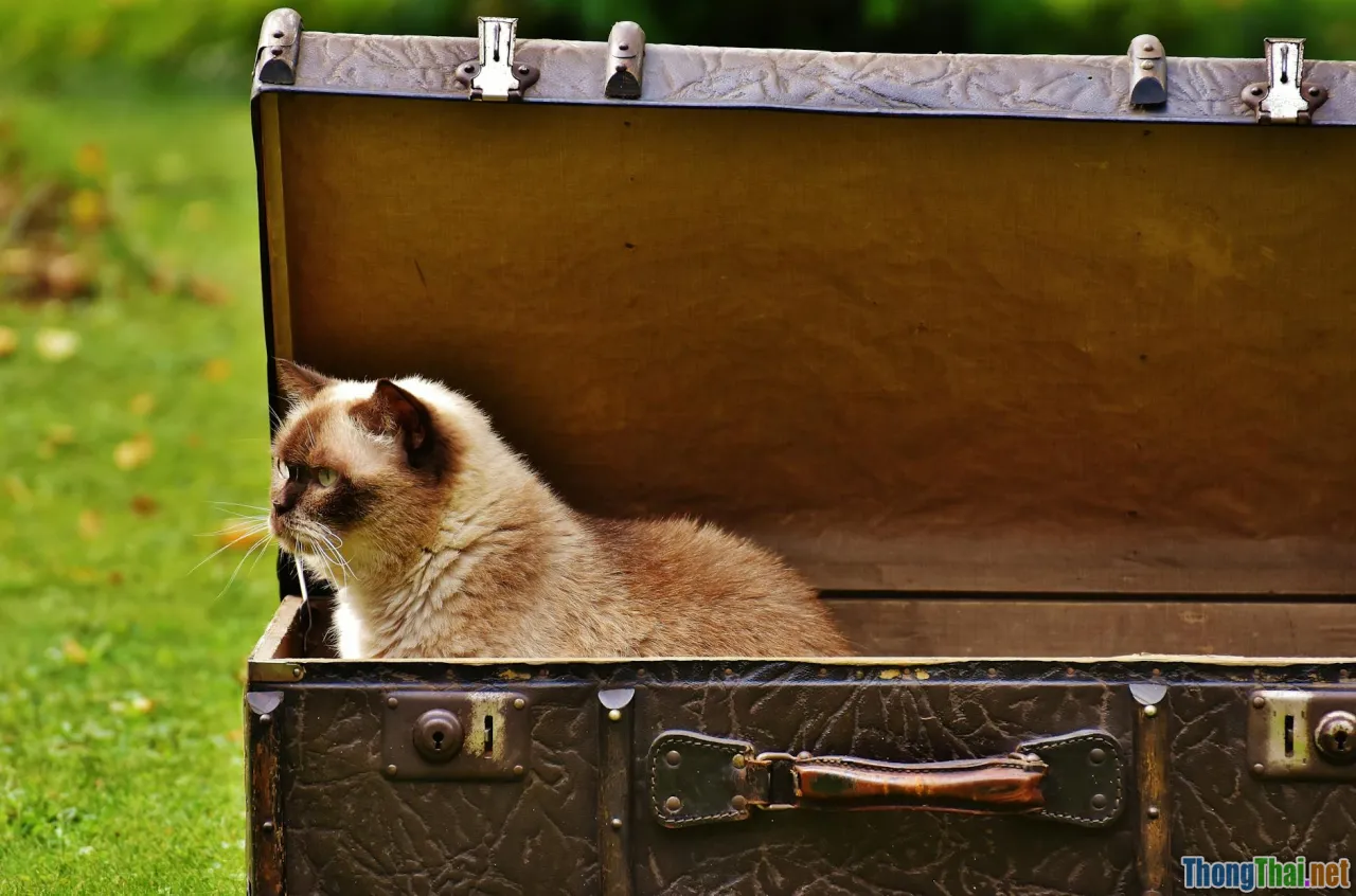 5 dấu hiệu bạn đang hiểu sai về đệ quy và cách khắc phục