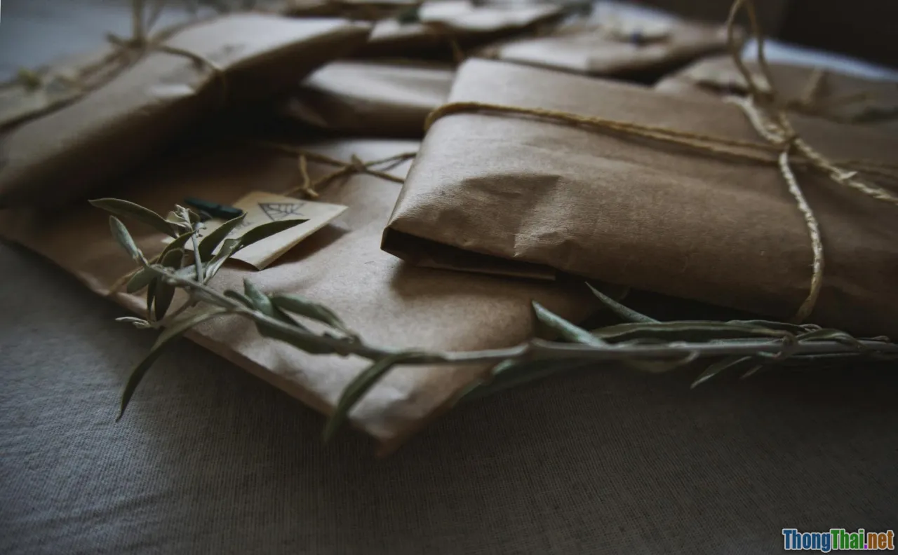 7 ý tưởng biến giấy báo cũ thành đồ dùng mới siêu xinh tặng bạn bè