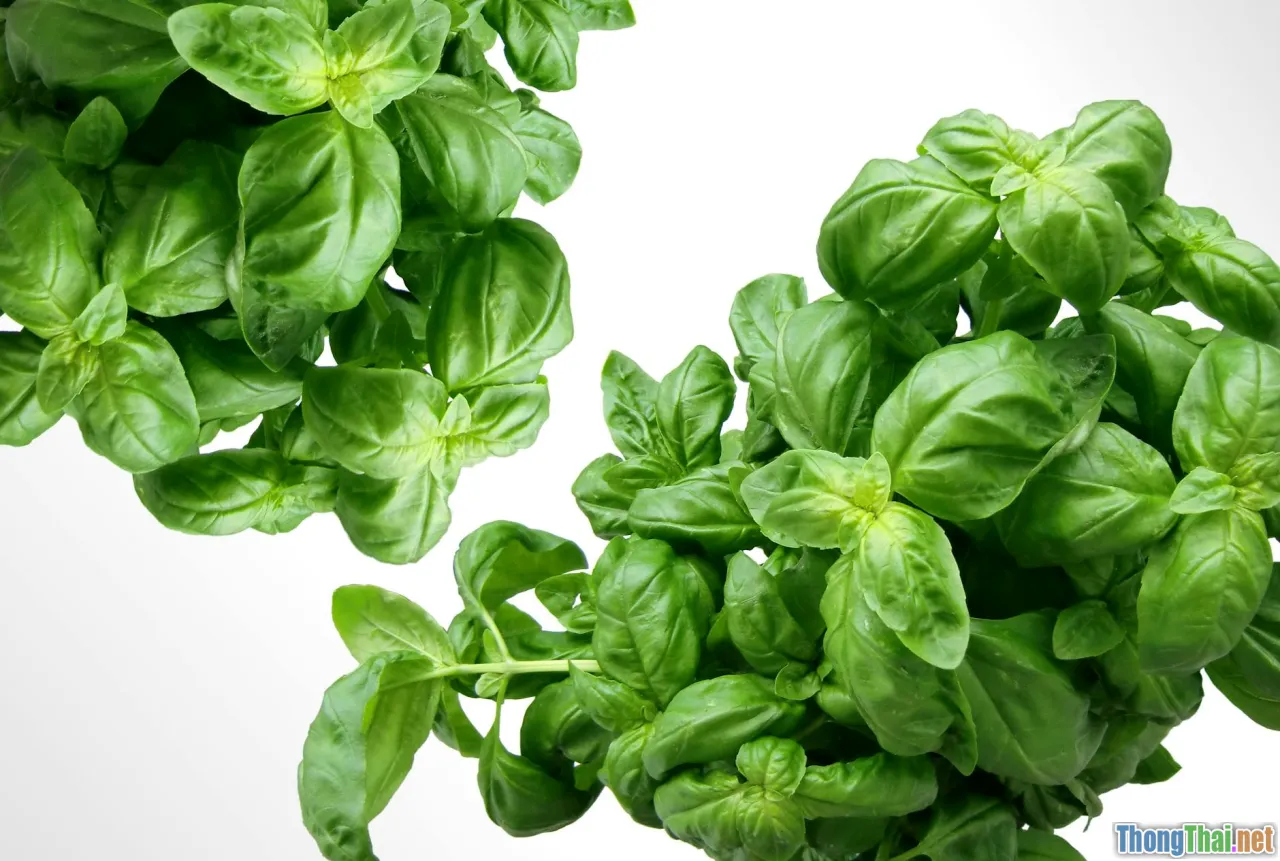 Ăn kiêng đẹp da hay da xấu hơn Kiểm chứng 7 chế độ phổ biến