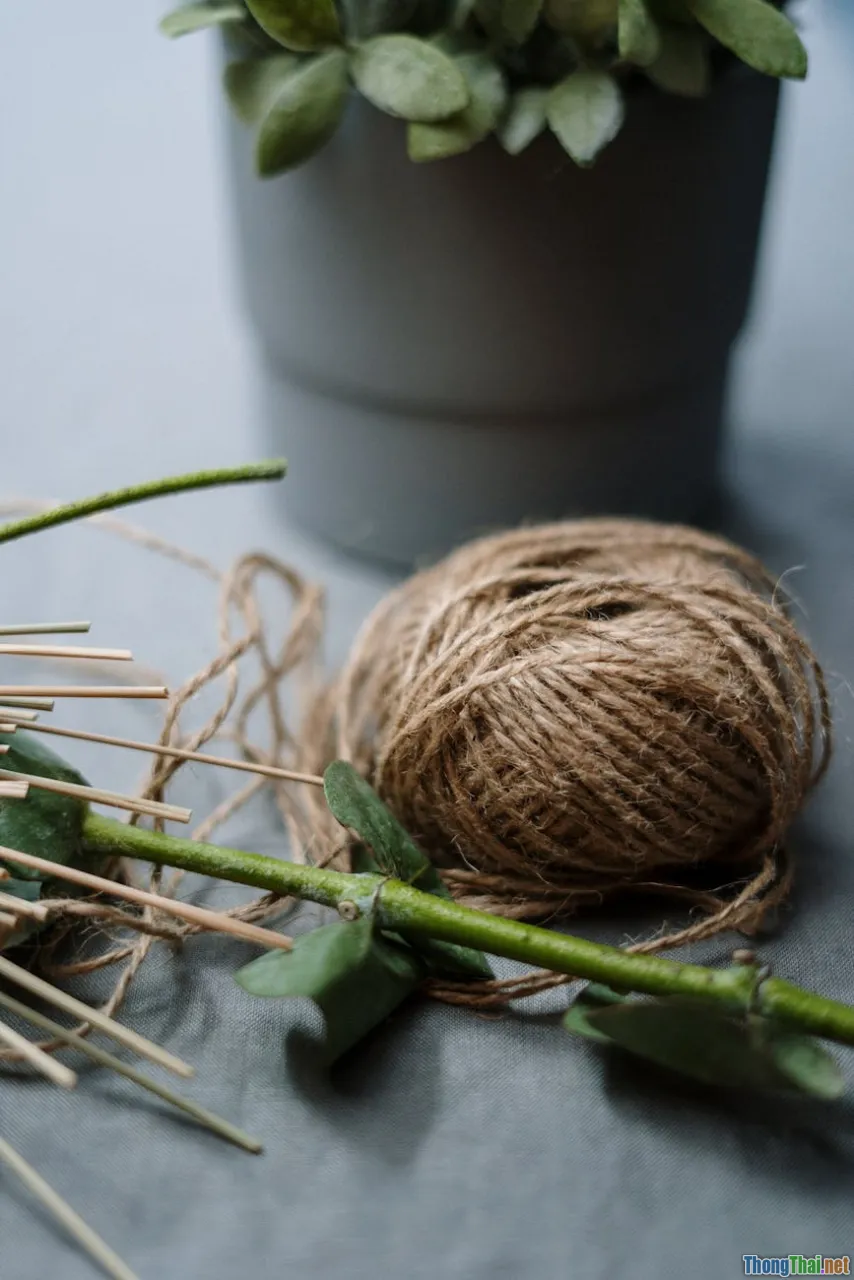 Bạn có nên đặt cây cảnh trong bếp Ai nói không tốt đã nhầm