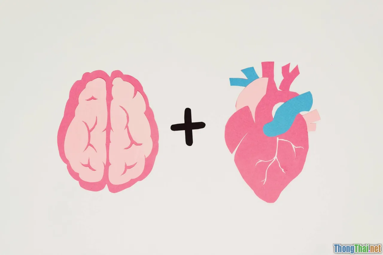 Bạn Đạt Được Gì Khi Xem Phim Giải Trí