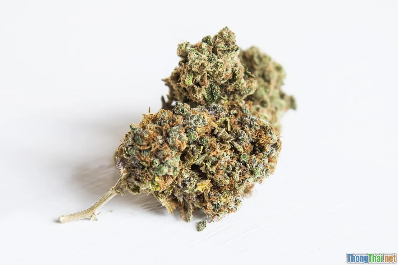 Bệnh tim mạch và những điều bạn thường bỏ qua