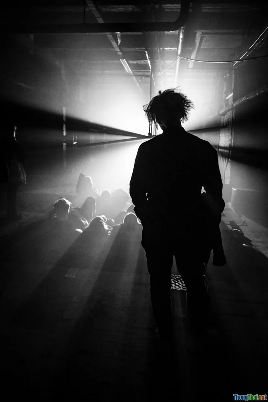 Bí ẩn hành trình tìm kho báu: Những phim khám phá không thể bỏ lỡ 2024