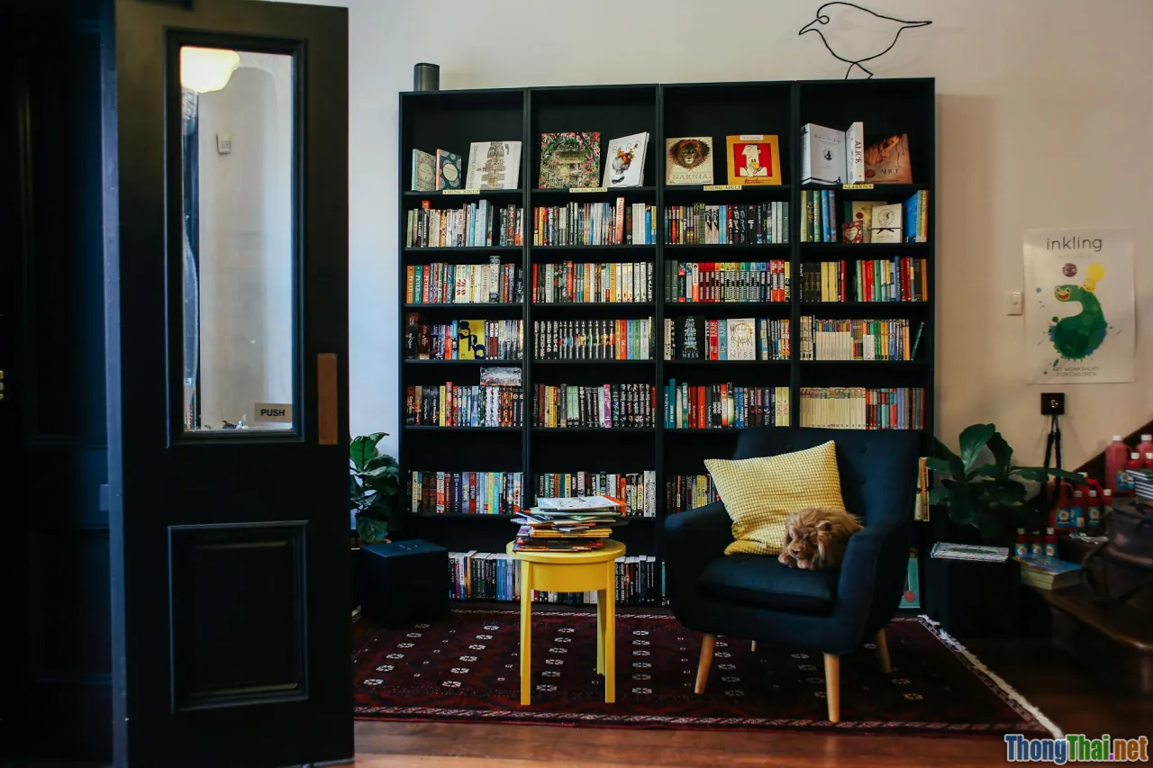 Bí kíp thiết kế góc riêng cho thú cưng trong nhà nhỏ