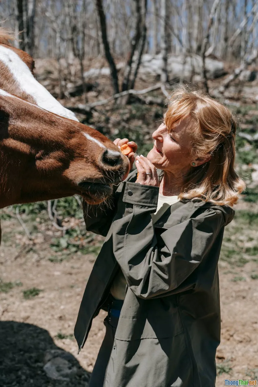 Bí quyết giữ bộ lông chó mèo luôn óng mượt không tốn nhiều công