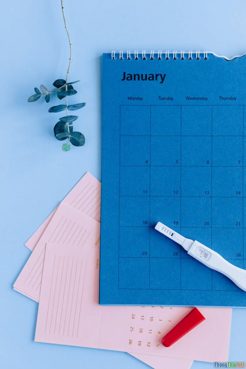 Bí quyết giúp các gia đình duy trì lịch khám sức khỏe định kỳ đều đặn