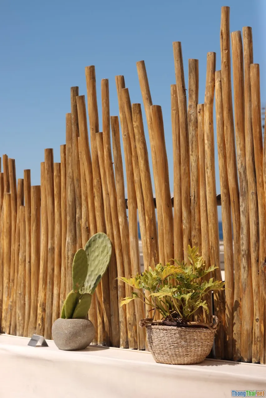 Cách bảo vệ môi trường trong du lịch