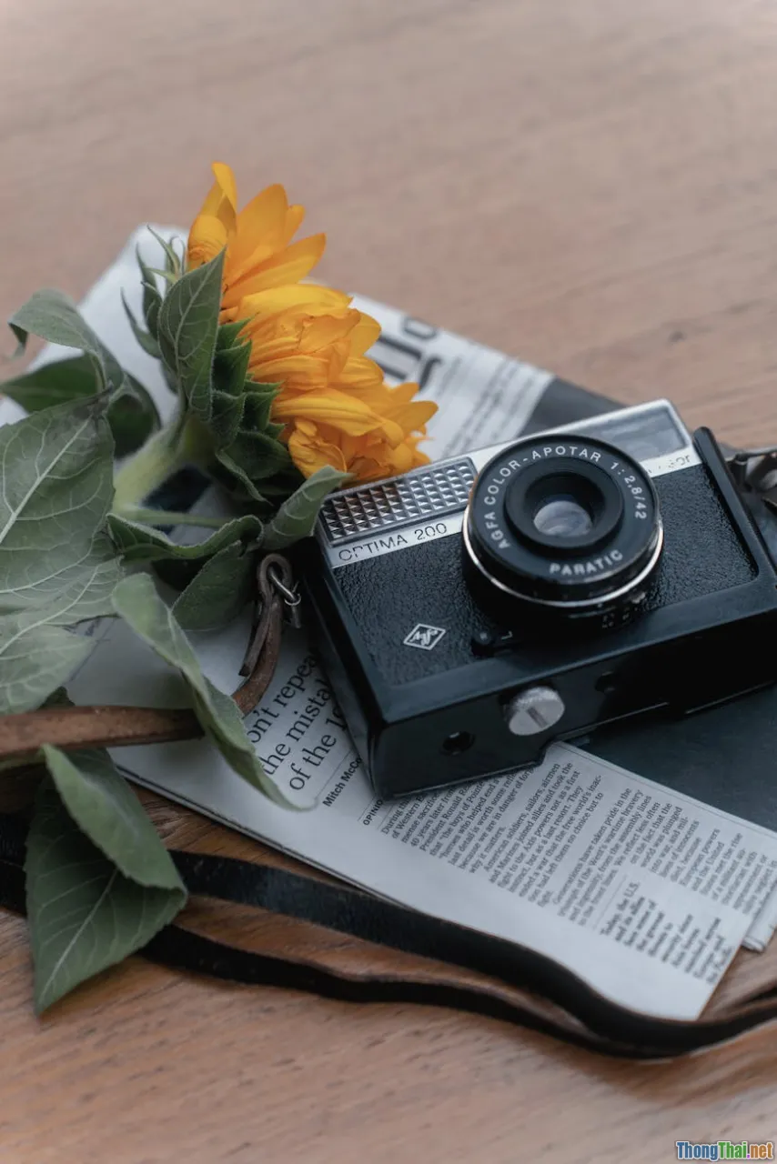 Cách làm hoa hướng dương từ giấy báo đơn giản