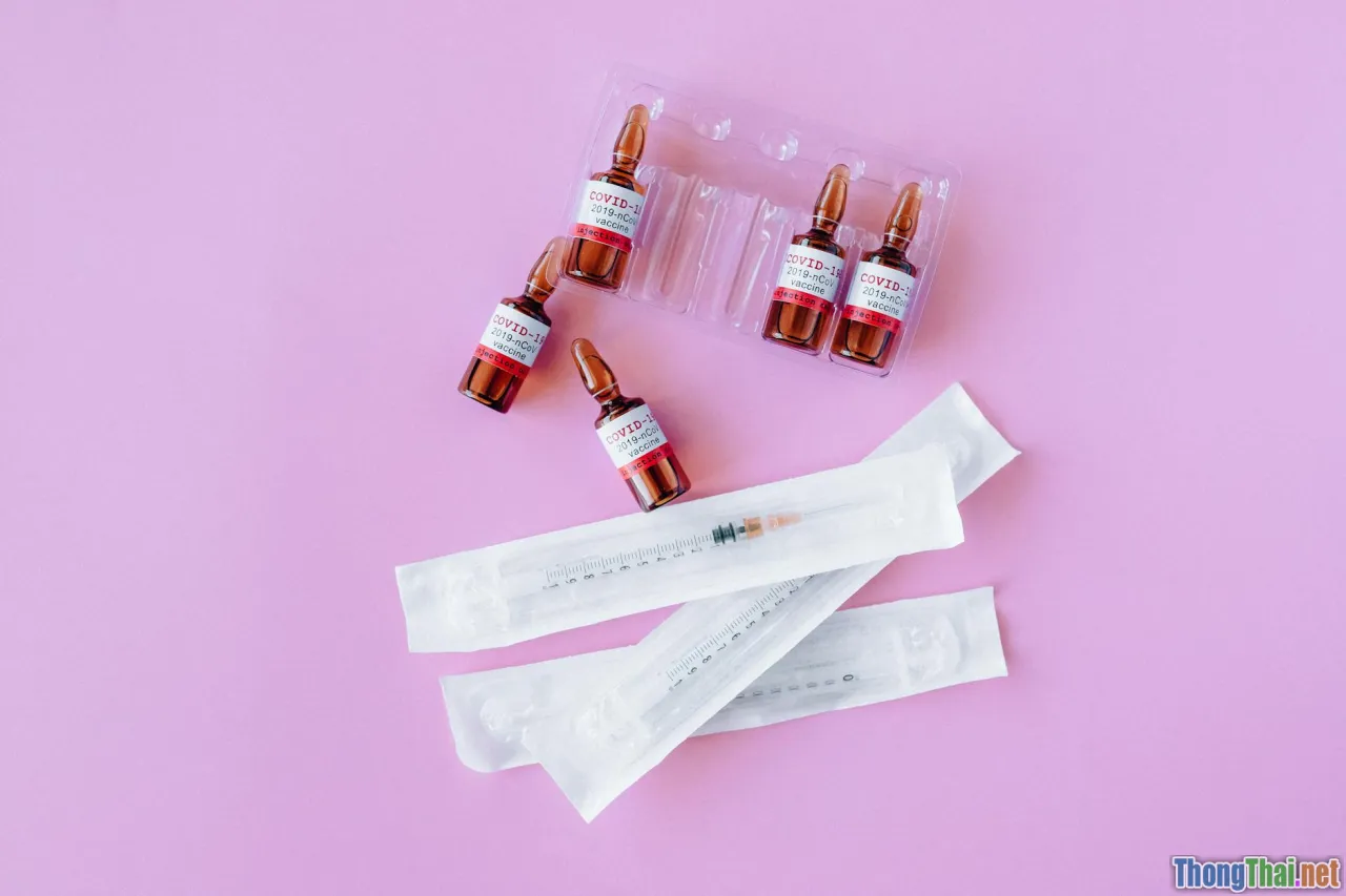 Cách phòng ngừa bệnh truyền nhiễm cho mèo con hiệu quả tại nhà