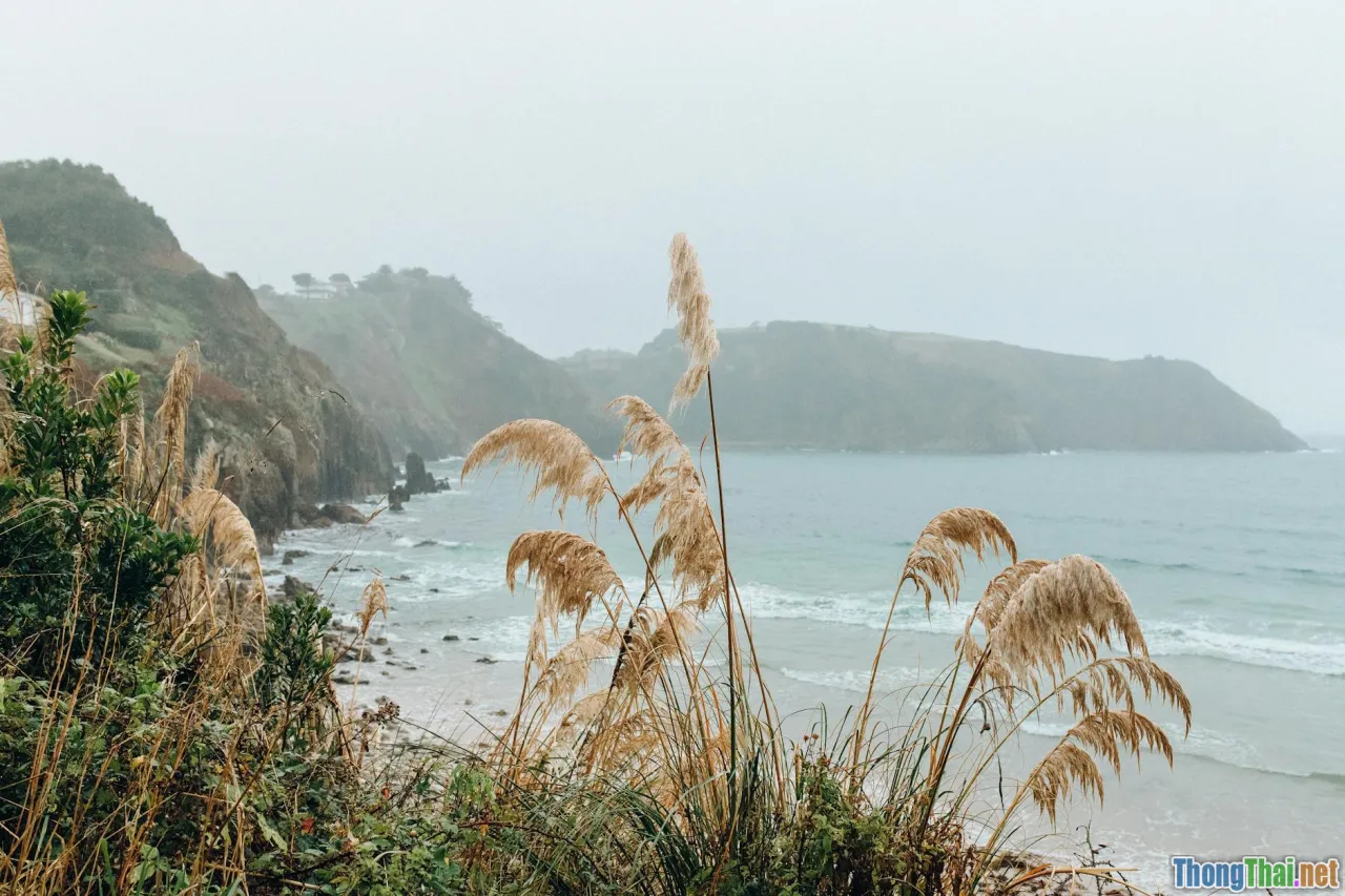 Chặng đường chinh phục Fansipan mùa đông có dễ như lời đồn không