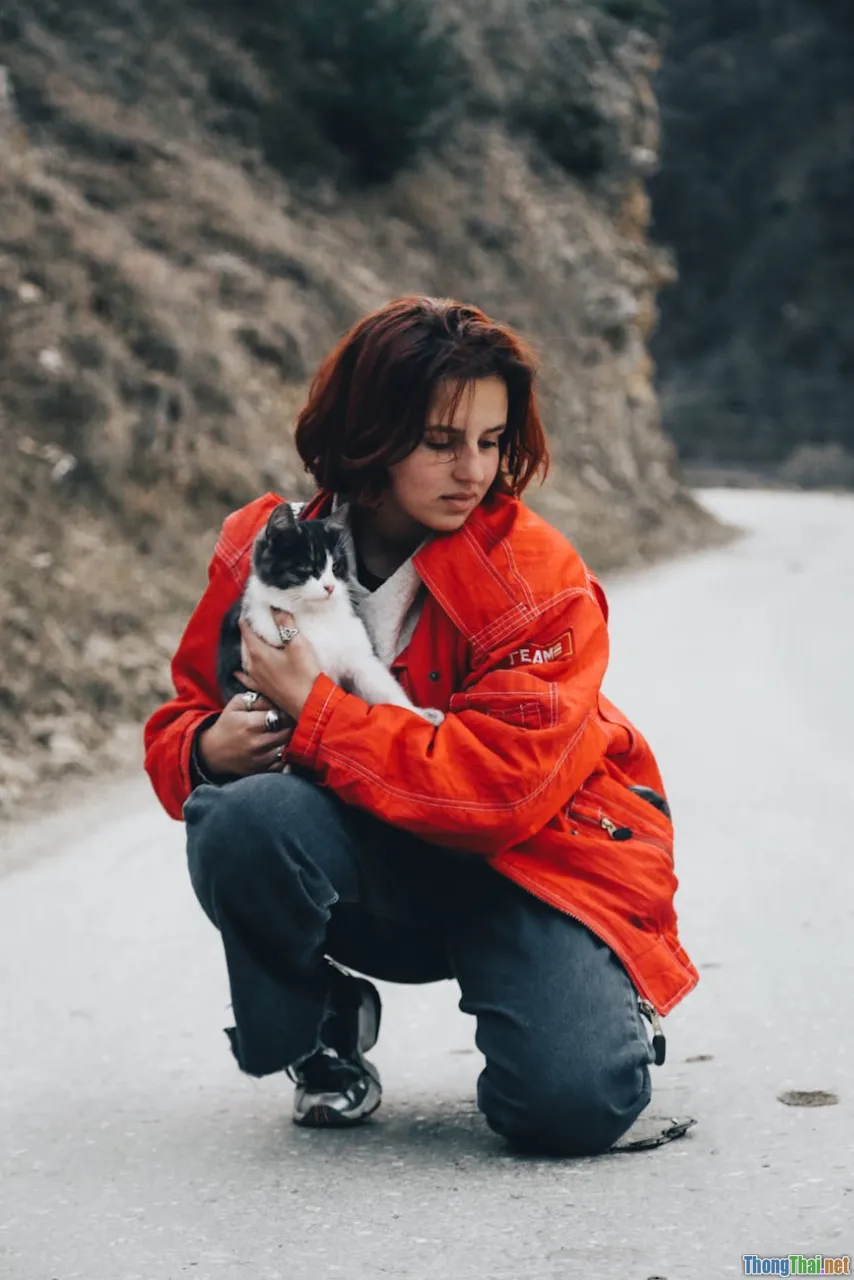 Có nên tự may áo cho mèo tại nhà không