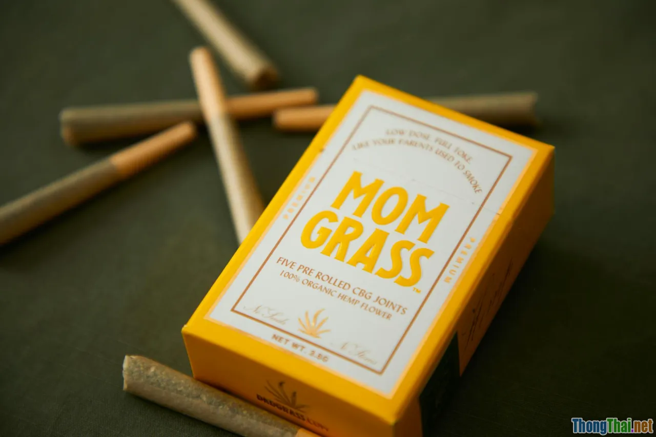 Đánh giá top thảo dược hỗ trợ xương khớp 2024