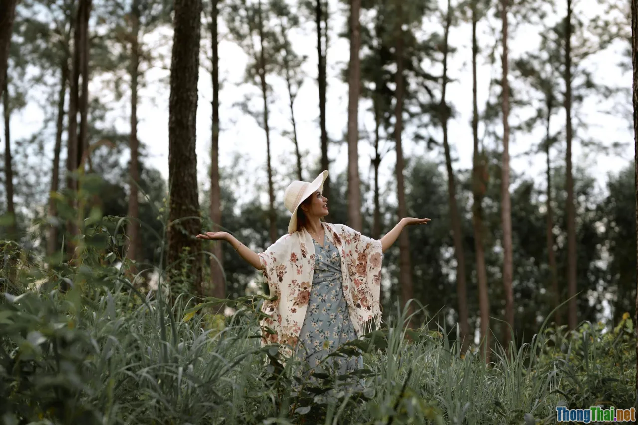 Địa Điểm Du Lịch Sinh Thái Hấp Dẫn Tại Tây Nguyên