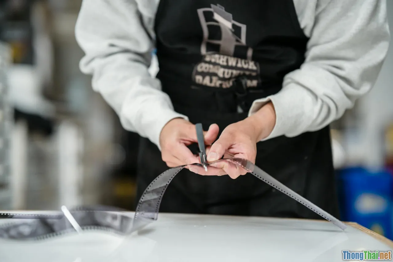 Điểm chung bất ngờ giữa các phim chiến tranh nổi bật