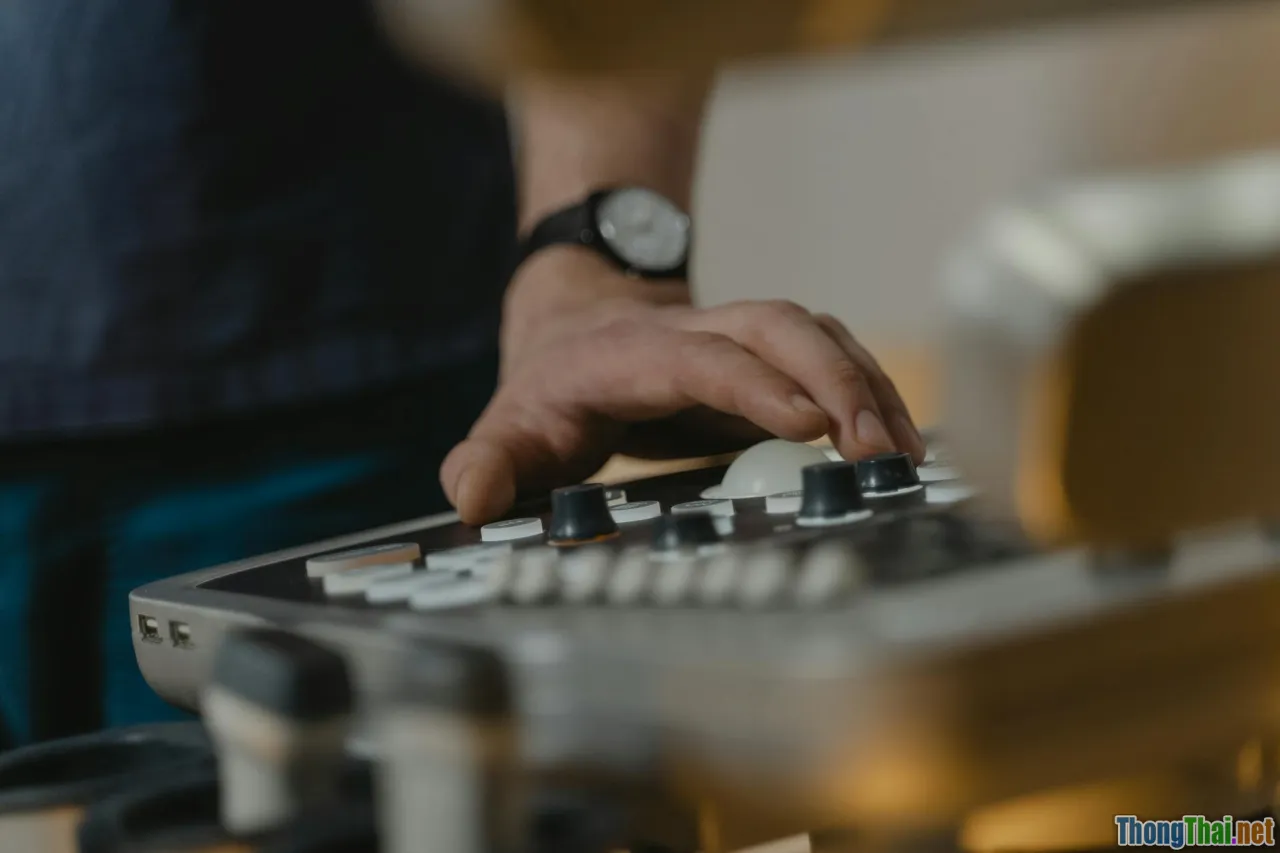 Những app quản lý sức khỏe thú cưng đáng thử nhất