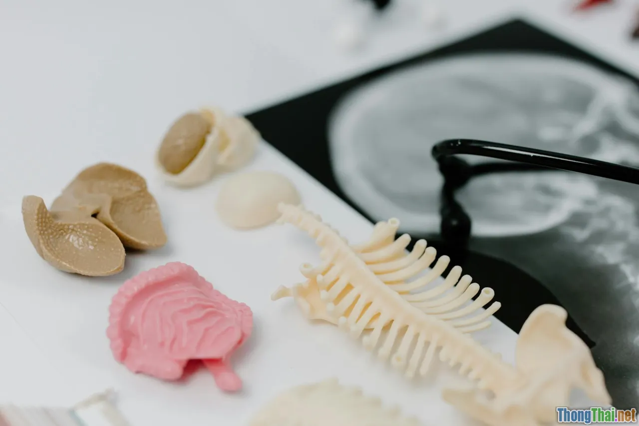 Giải mã các chỉ số xét nghiệm: Hướng dẫn đọc hiểu từ A đến Z