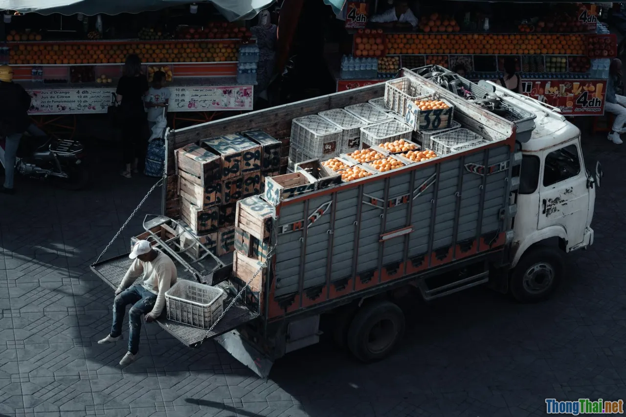 Giải mã công nghệ theo dõi tuyến đường vận tải hàng hóa tươi sống