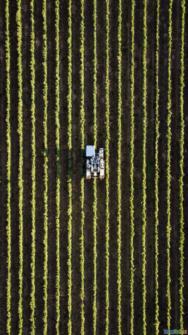 Giải mã IoT nông nghiệp: Máy bay drone hay cảm biến nào quản lý ruộng tốt hơn