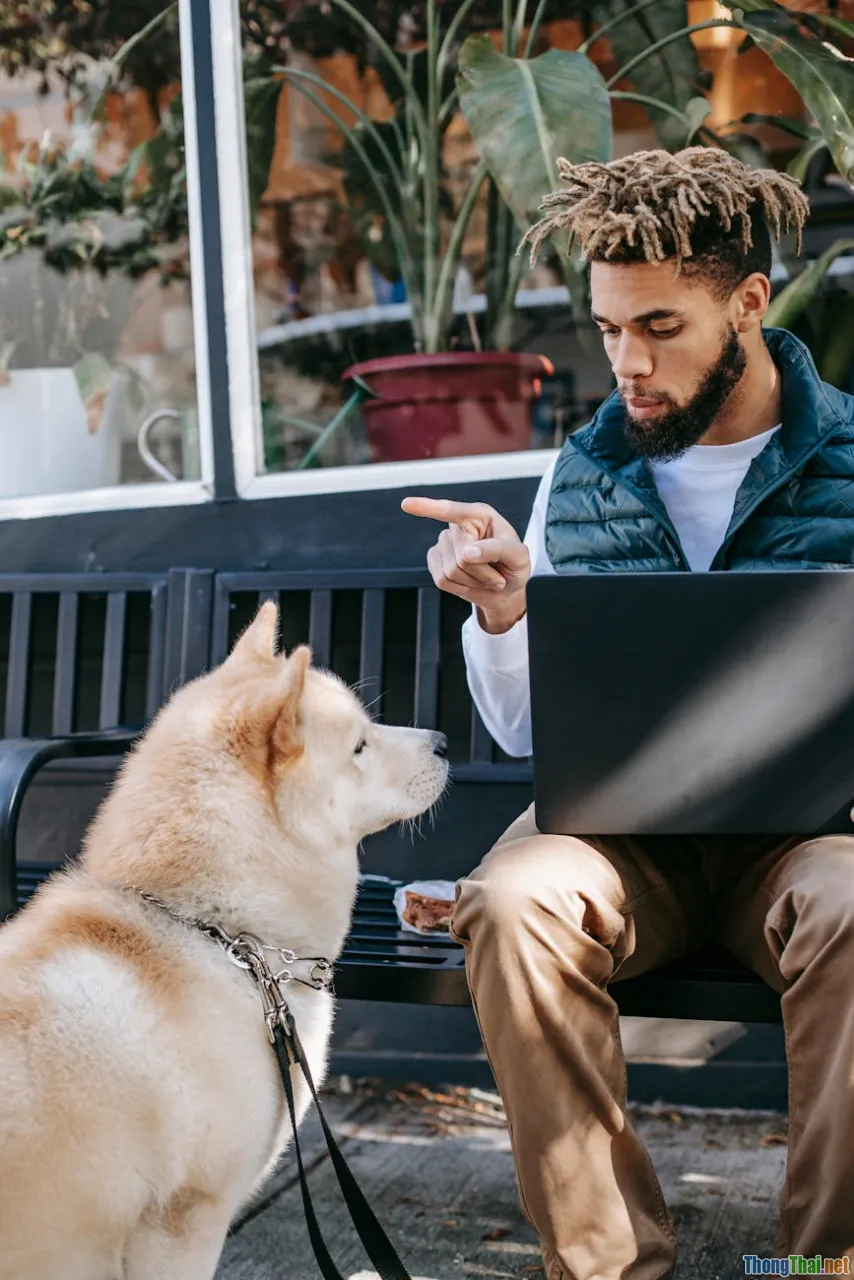 Giải mã ngôn ngữ cơ thể của chó nhà bạn