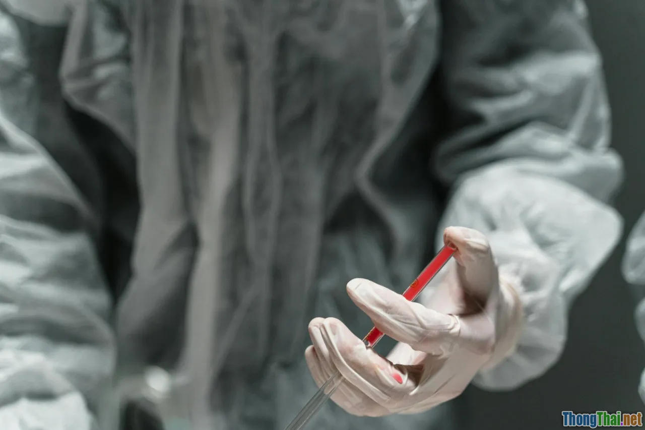 Giải pháp phòng tránh bệnh truyền nhiễm cho mèo nuôi trong nhà