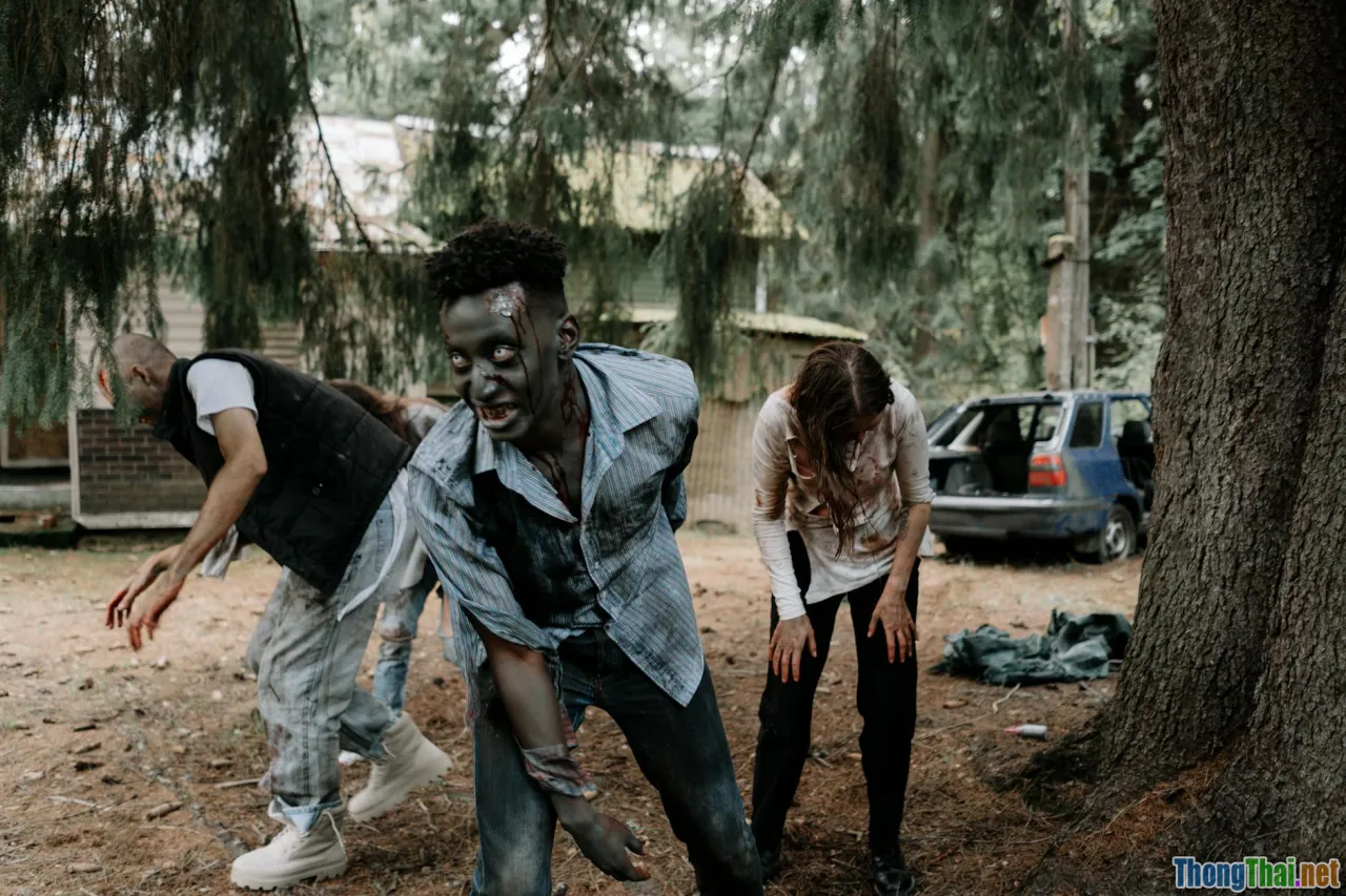 Khám phá 10 bộ phim phiêu lưu không thể bỏ lỡ