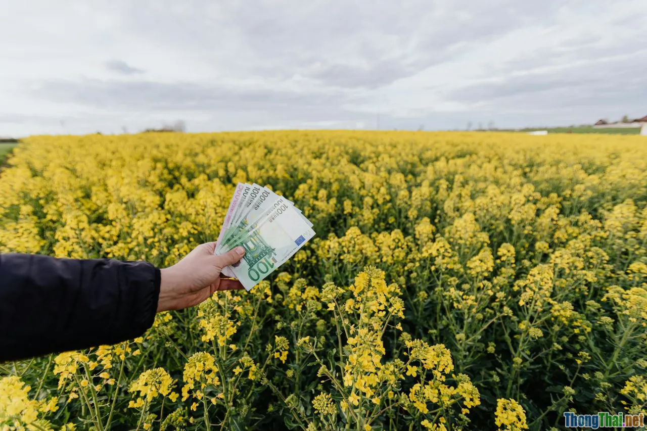 Kiếm tiền từ staking & farming trong crypto