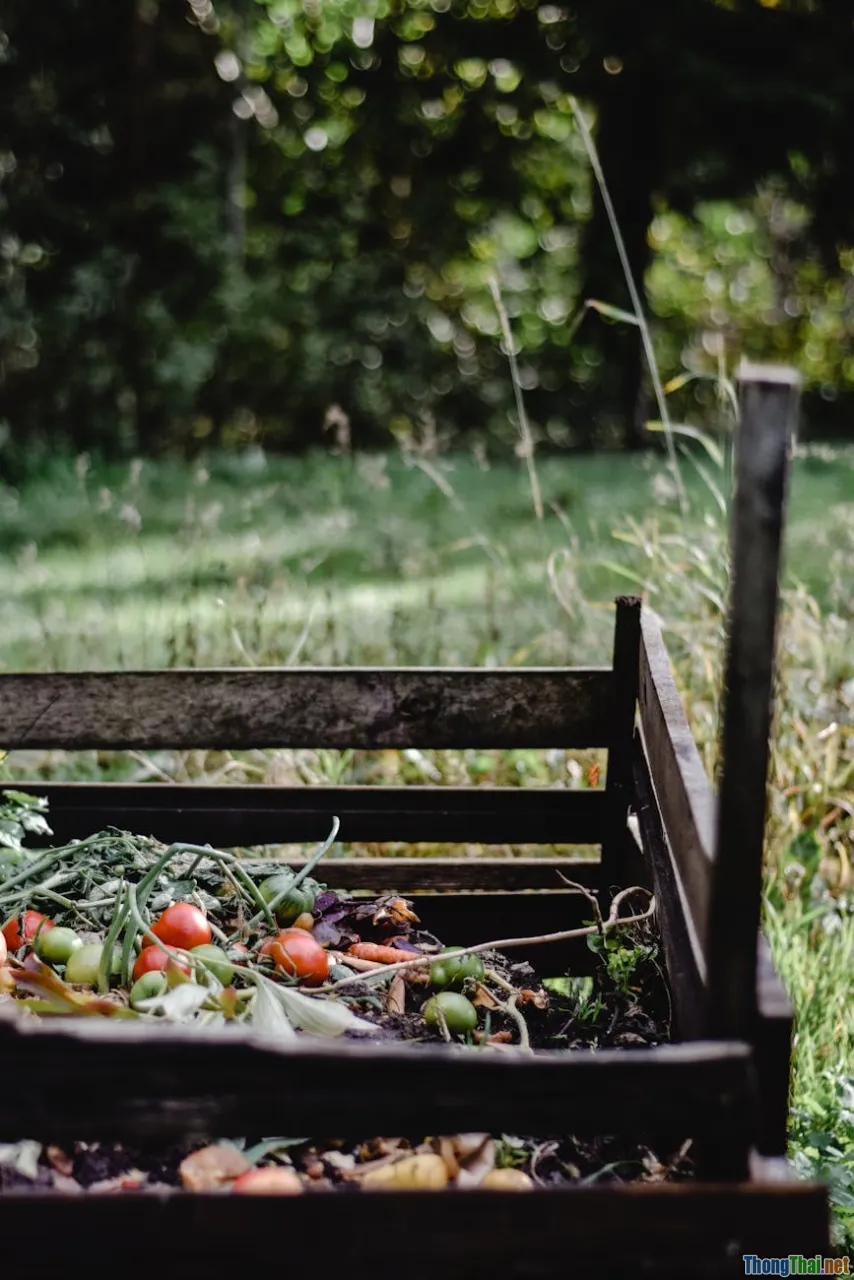 Kỹ thuật ủ đất trồng rau sạch hiệu quả tại nhà